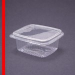 محصول یکبار مصرف یا پلاستیکی دلی ۲۰۰