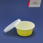 محصول یکبار مصرف یا پلاستیکی خورشتی رنگی 300 شایان