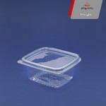  ظرف یکبار مصرف و پلاستیکی دلی 200